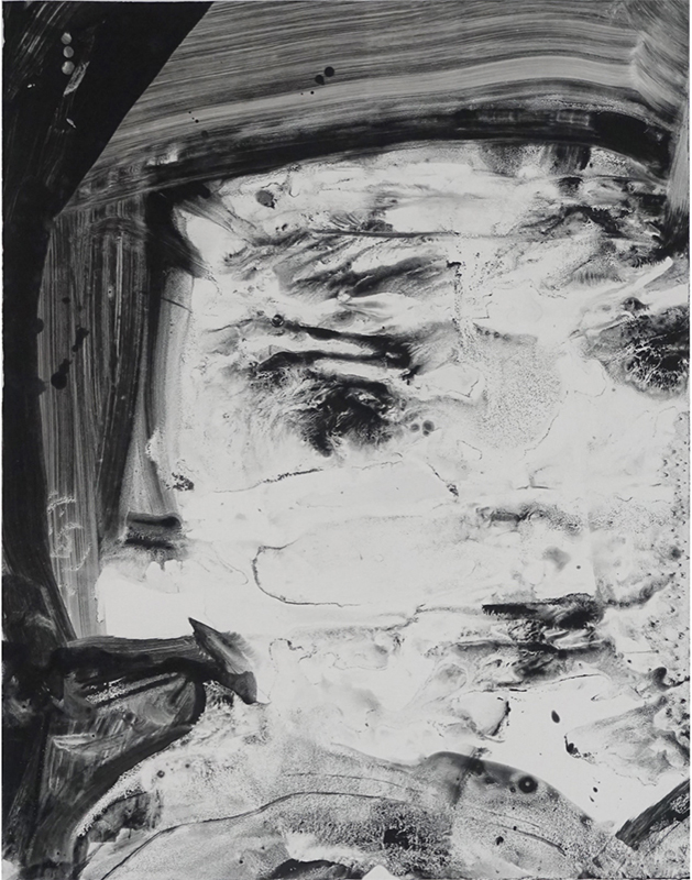 中村眞弥子の作品画像