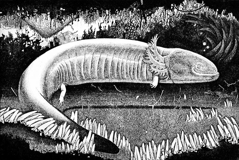 本間洋の作品画像