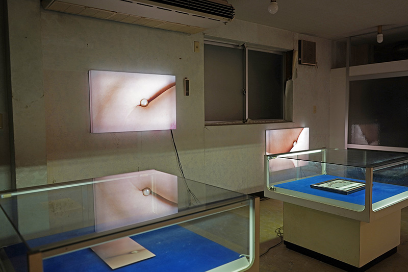 河野愛《こともの foreign object》の展示風景