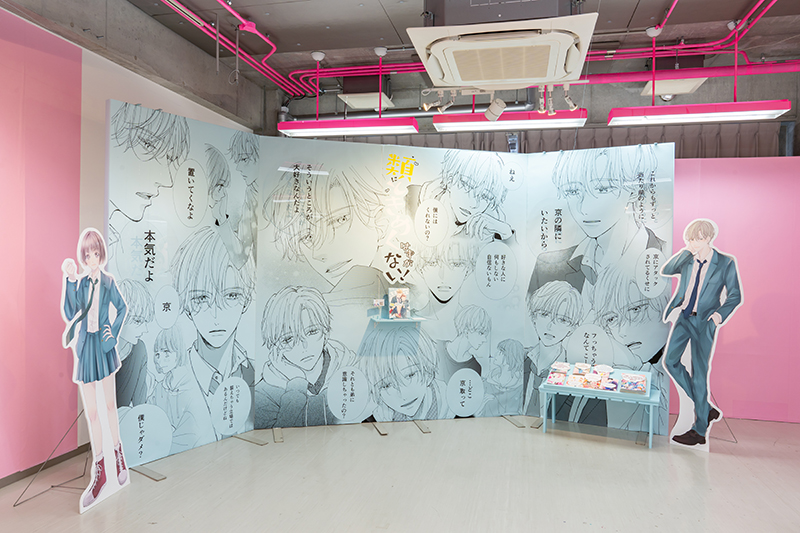 「年下男子の魅力」をテーマに描いた全4話の少女マンガ作品