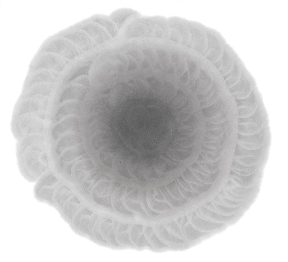 大清嘉慶汪節庵製「大泉」による筋目描きの画像