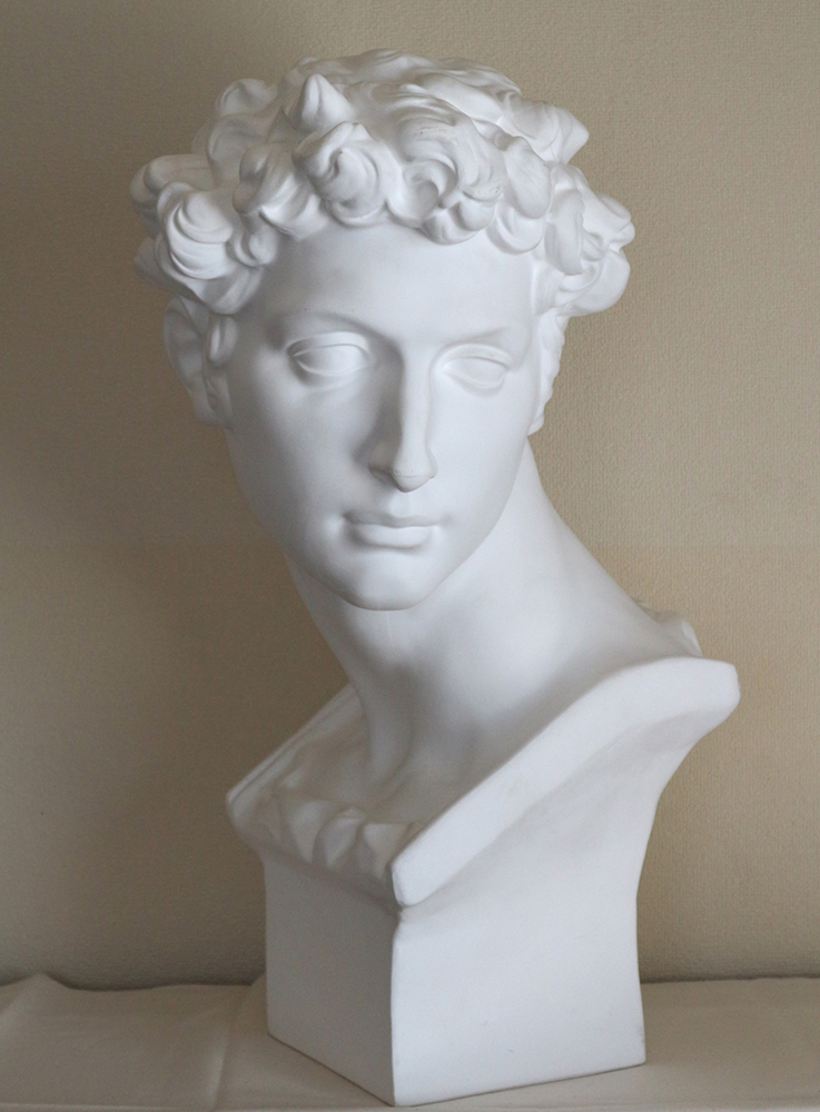 デッサン用石膏像(写真)