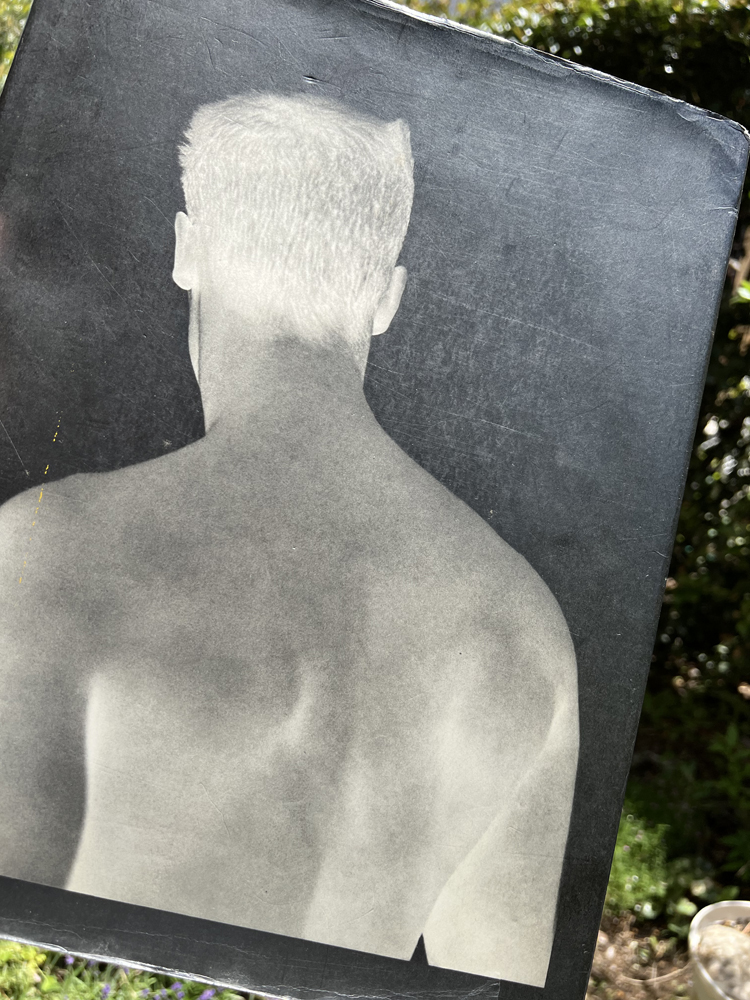 Bruce Weber《BRUCE WEBER》表紙