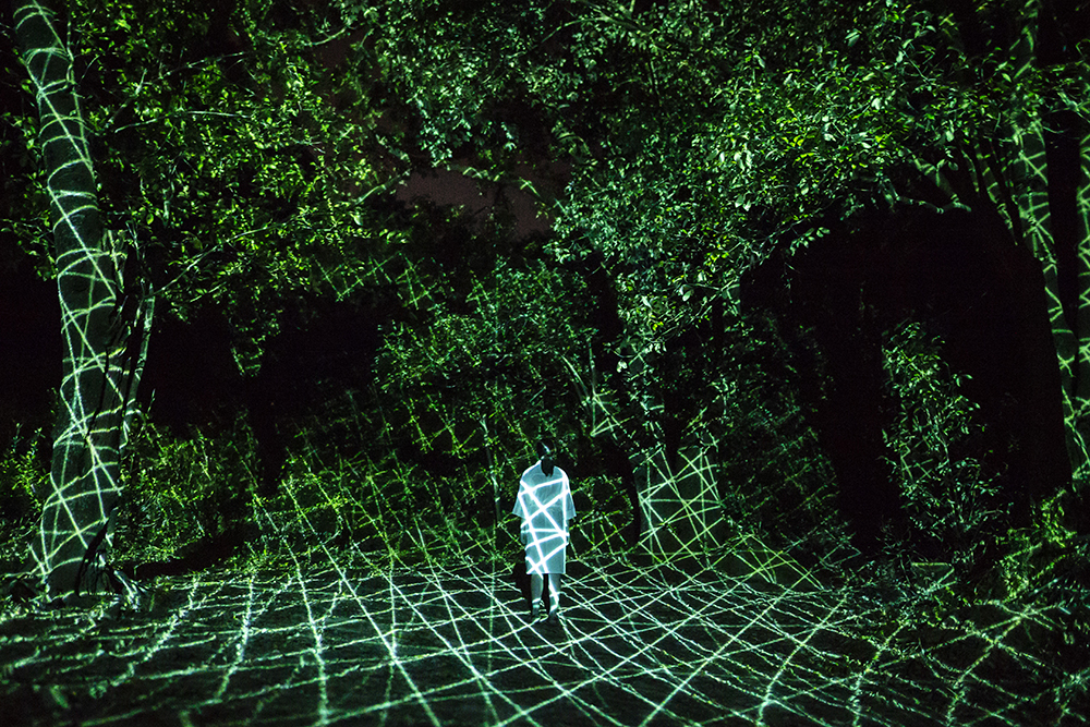 チームラボ《具象と抽象》画像