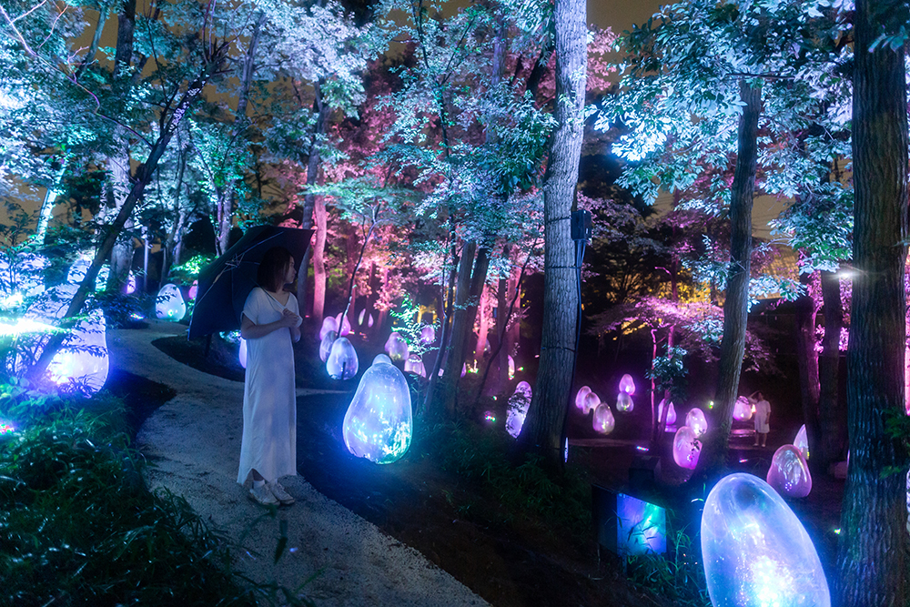 チームラボ《呼応する木々》画像