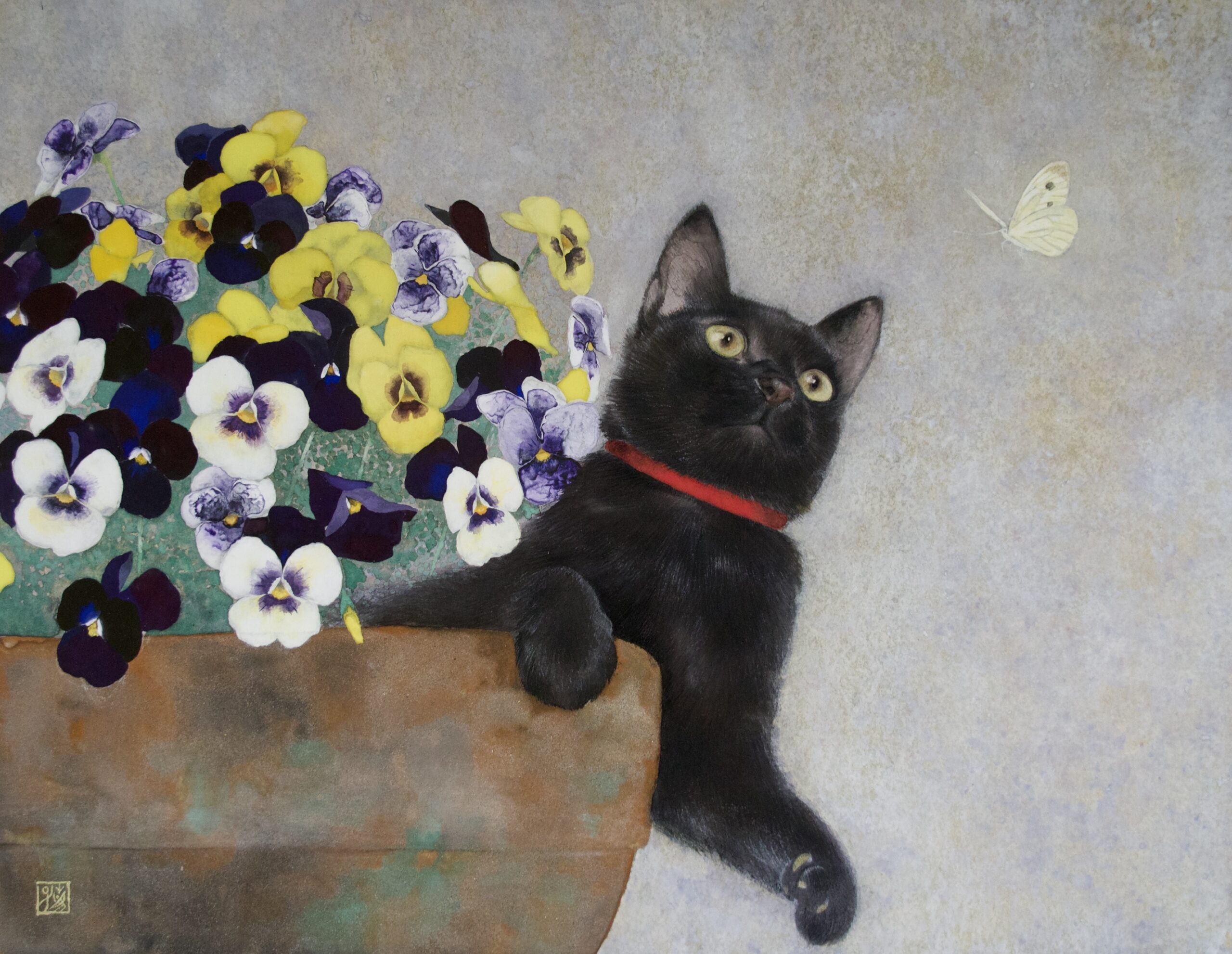 坂本藍子《Viola》画像