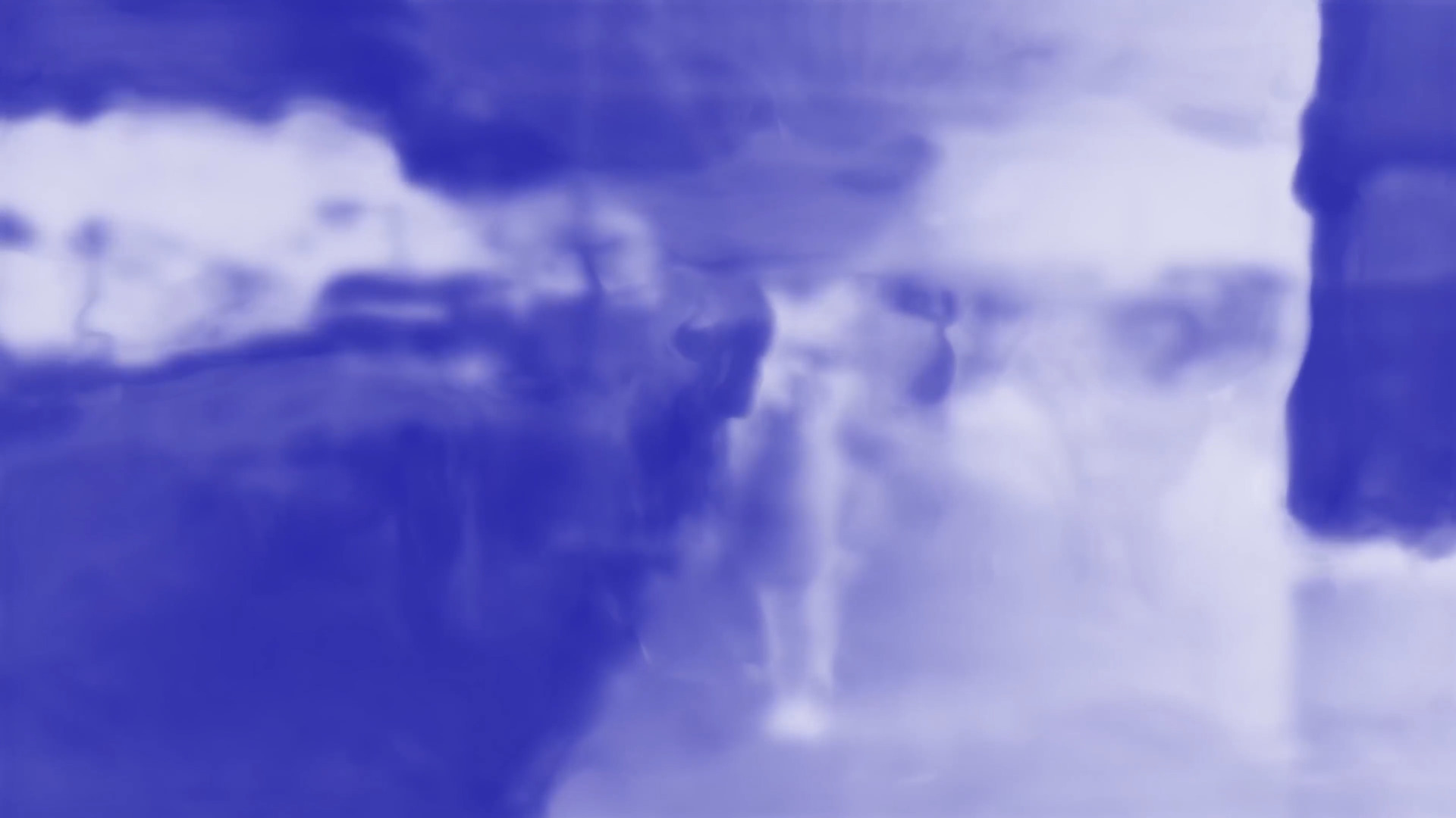 [展示作品参考イメージ]布施琳太郎画像