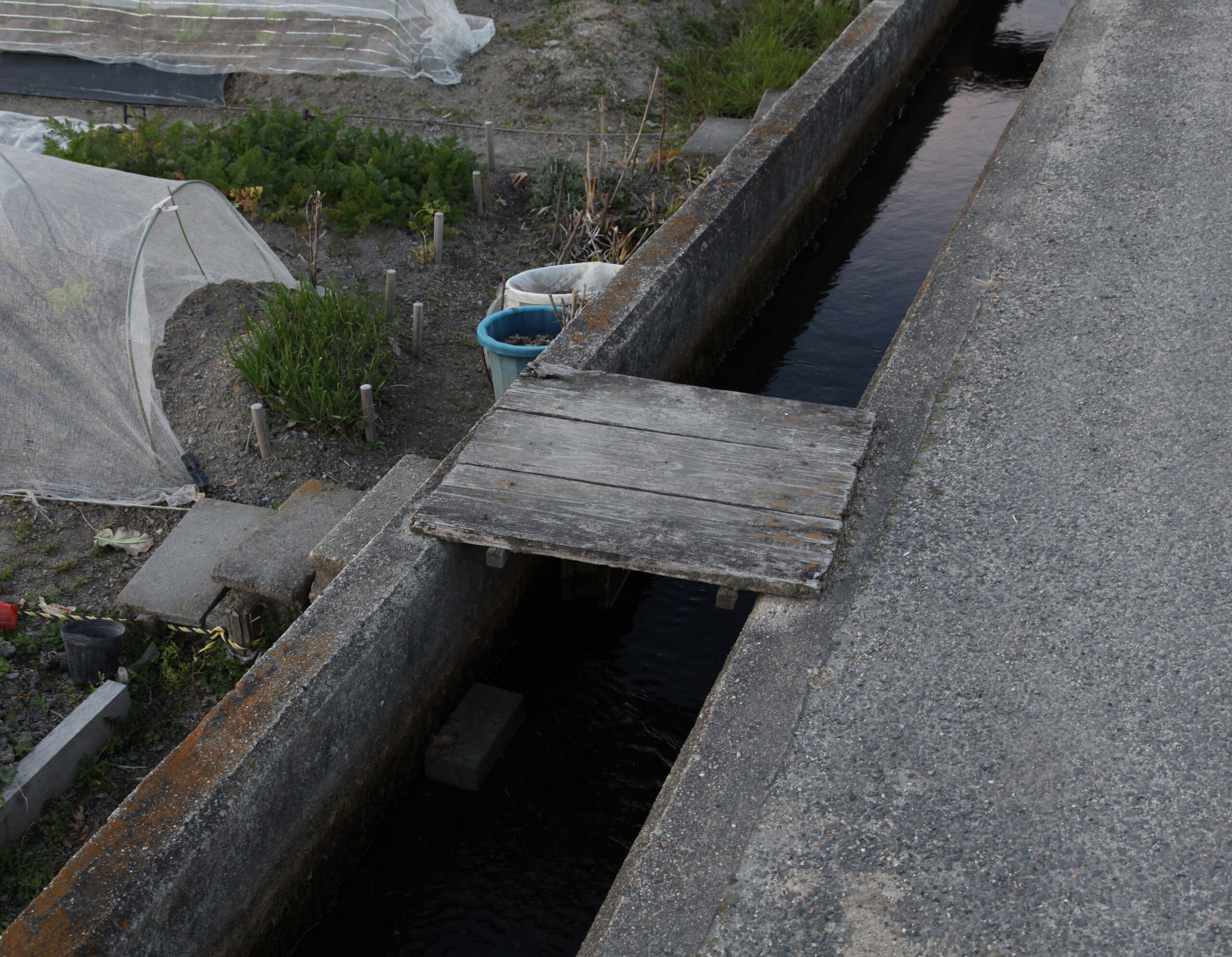 下道基行　シリーズ〈bridge〉より　2011年〜画像