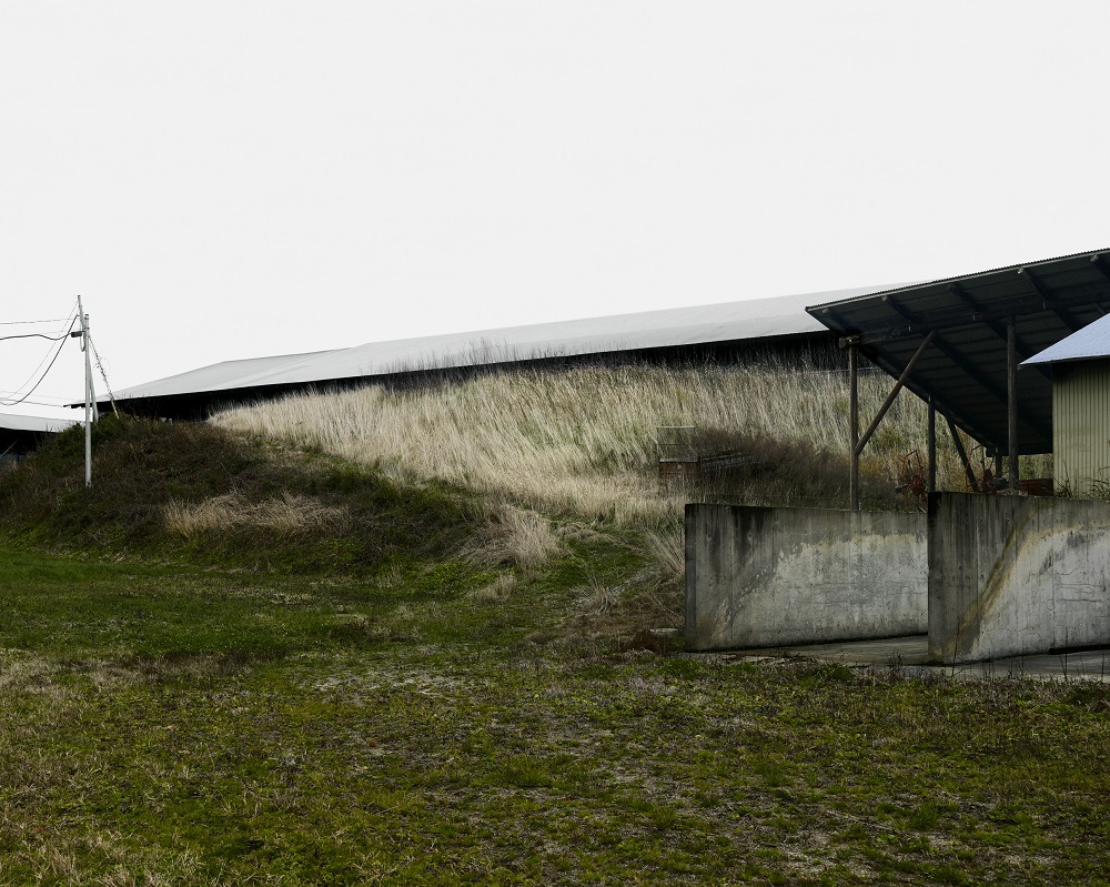 《飯舘村 福島県 2011年10月13日》 北島敬三 土門拳記念館蔵