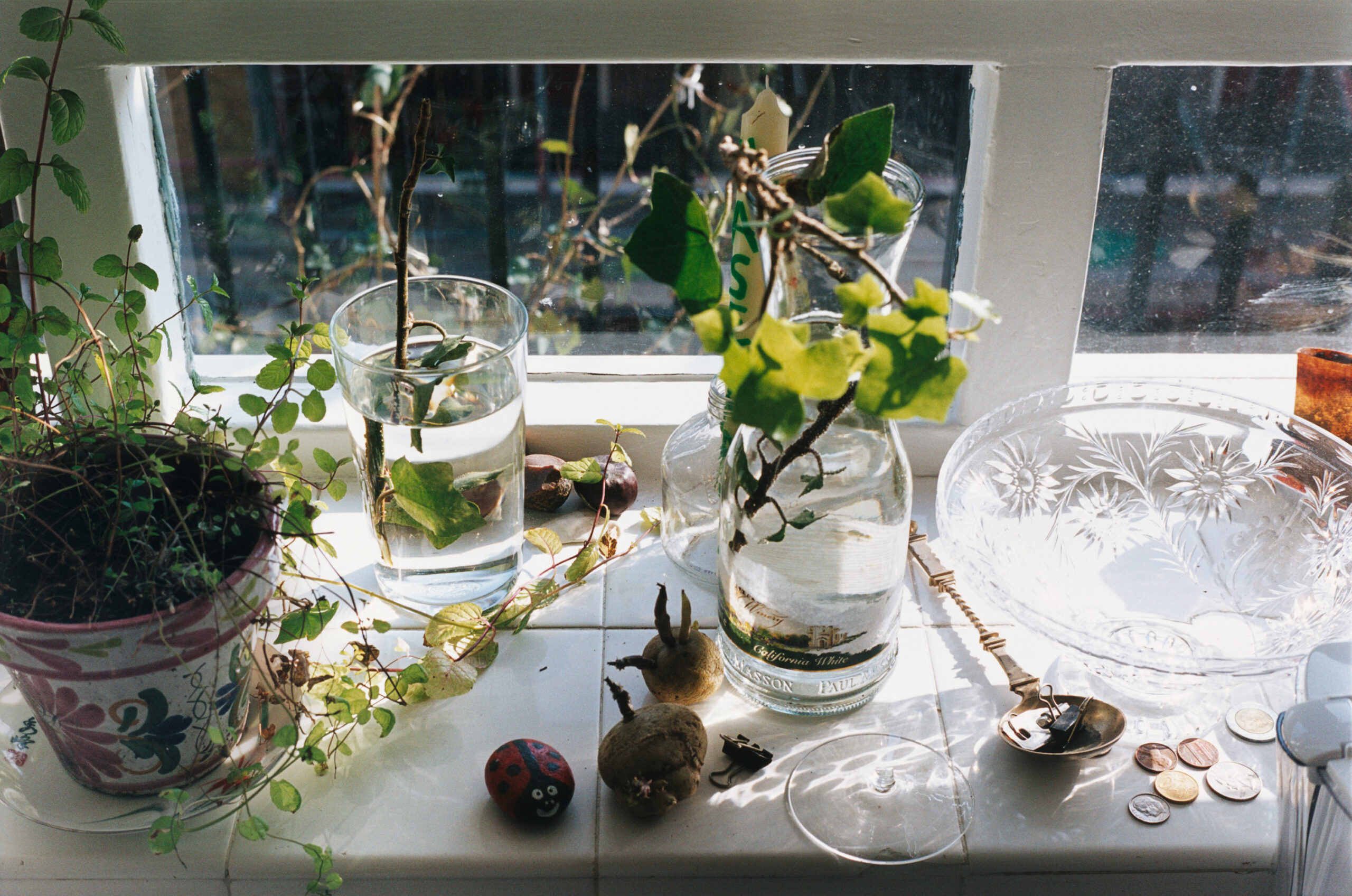 ヴォルフガング・ティルマンス《静物、ボーン・エステート》