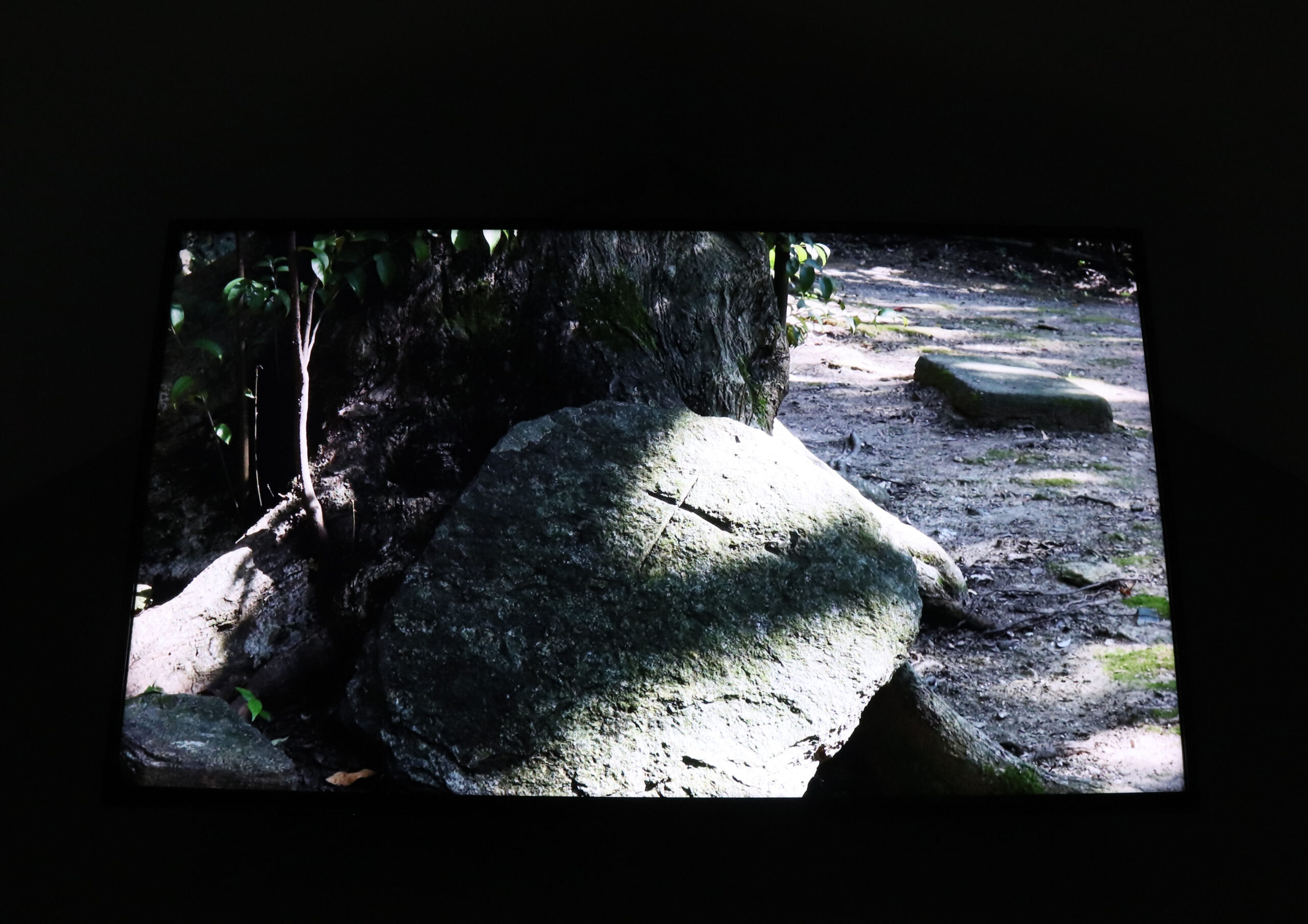 《信仰と痕跡》の一部