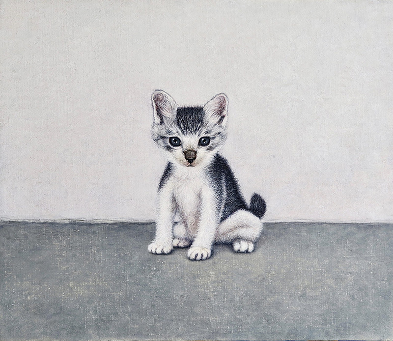 佐々木健 《ねこ》 2017年　油彩、カンヴァス　個人蔵　Courtesy of the artist and Gomike