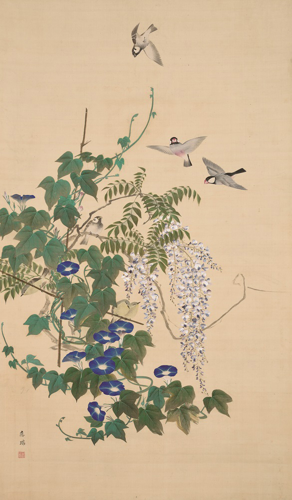 円山応瑞《花鳥図》画像