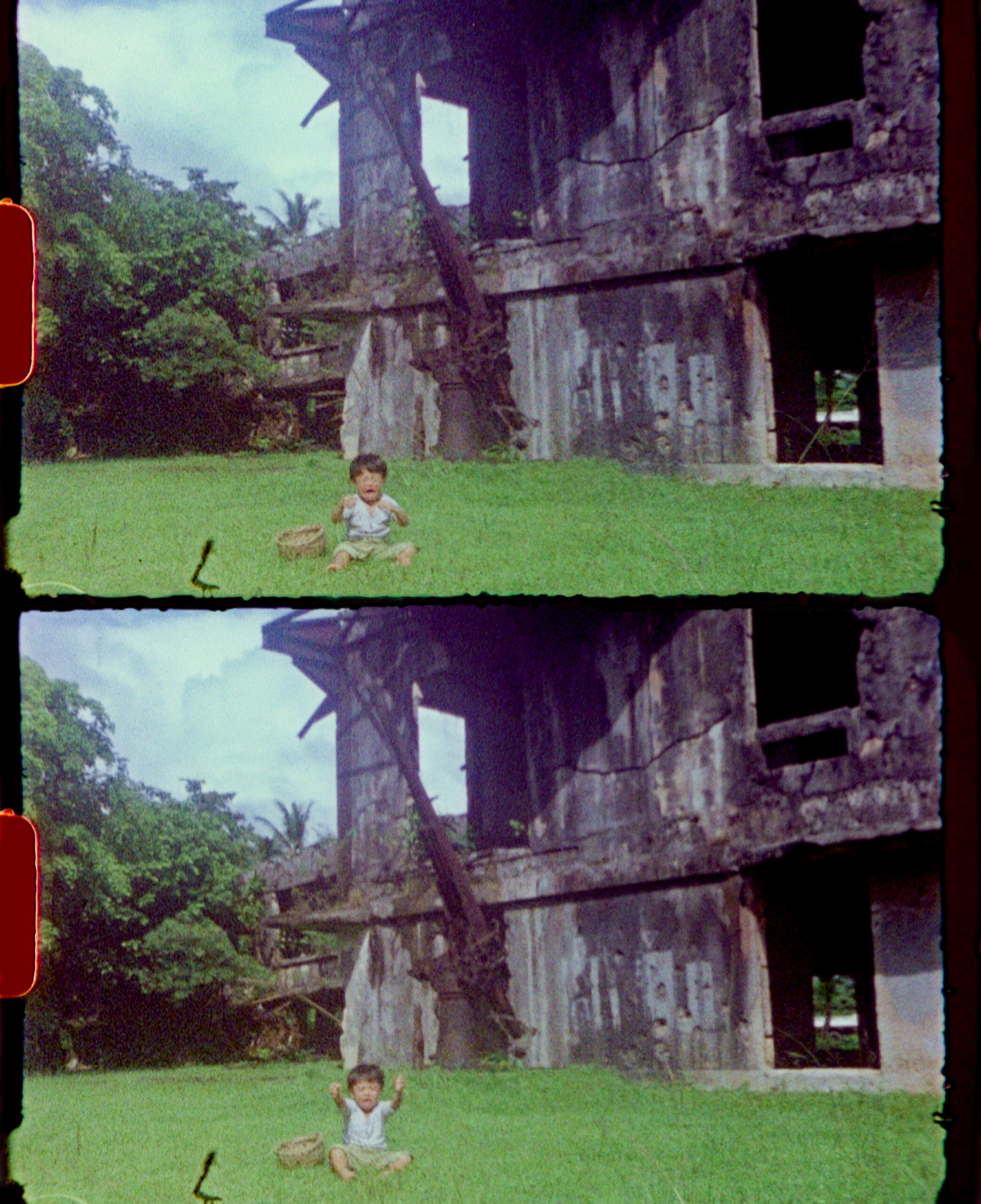 《ベラウの花》画像