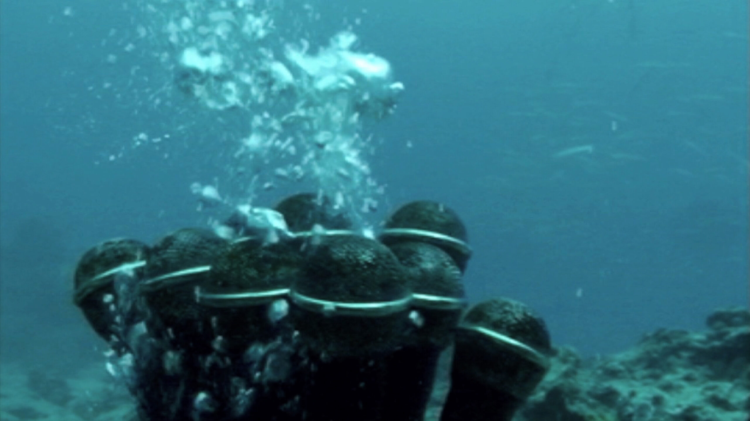 《沈む声、紅い息》画像