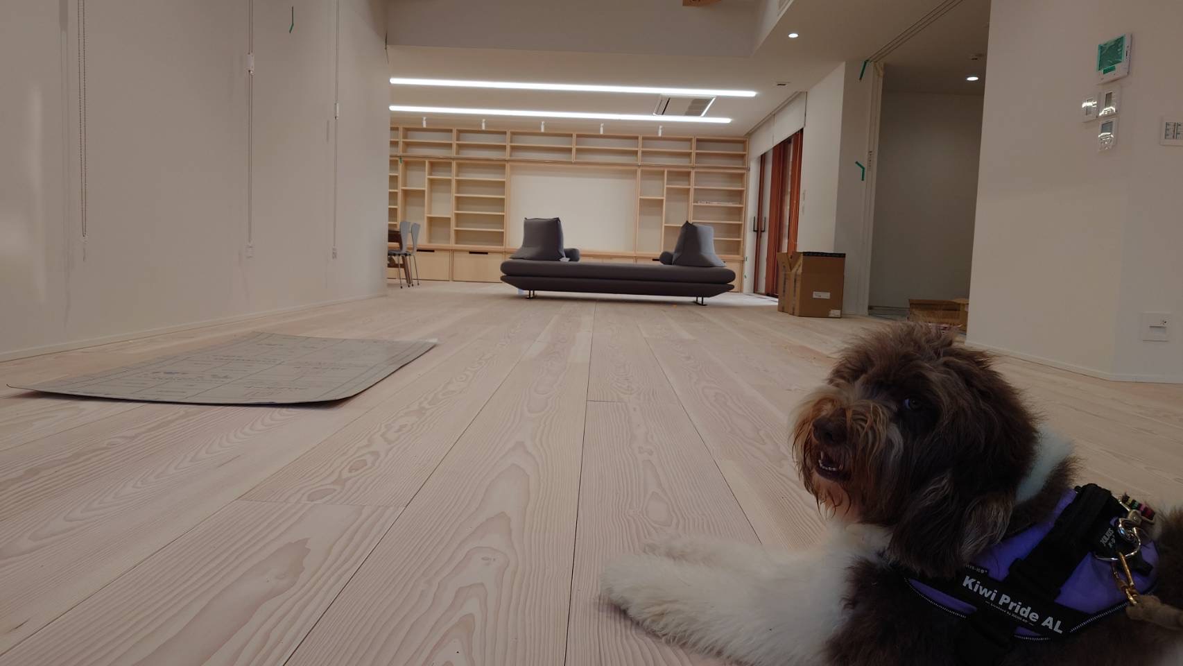 現在の小松のスタジオ画像