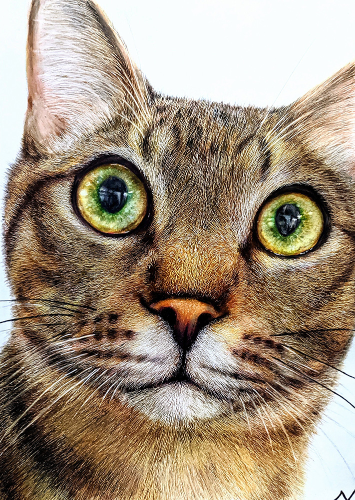 前田寧都《玲瓏》