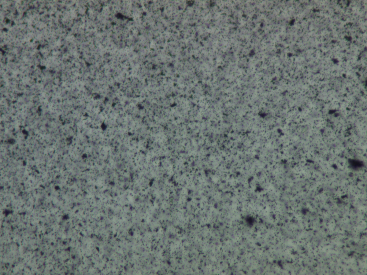 青墨「深古墨」分散状態写真　倍率400倍　光学顕微鏡観察（提供：株式会社呉竹）