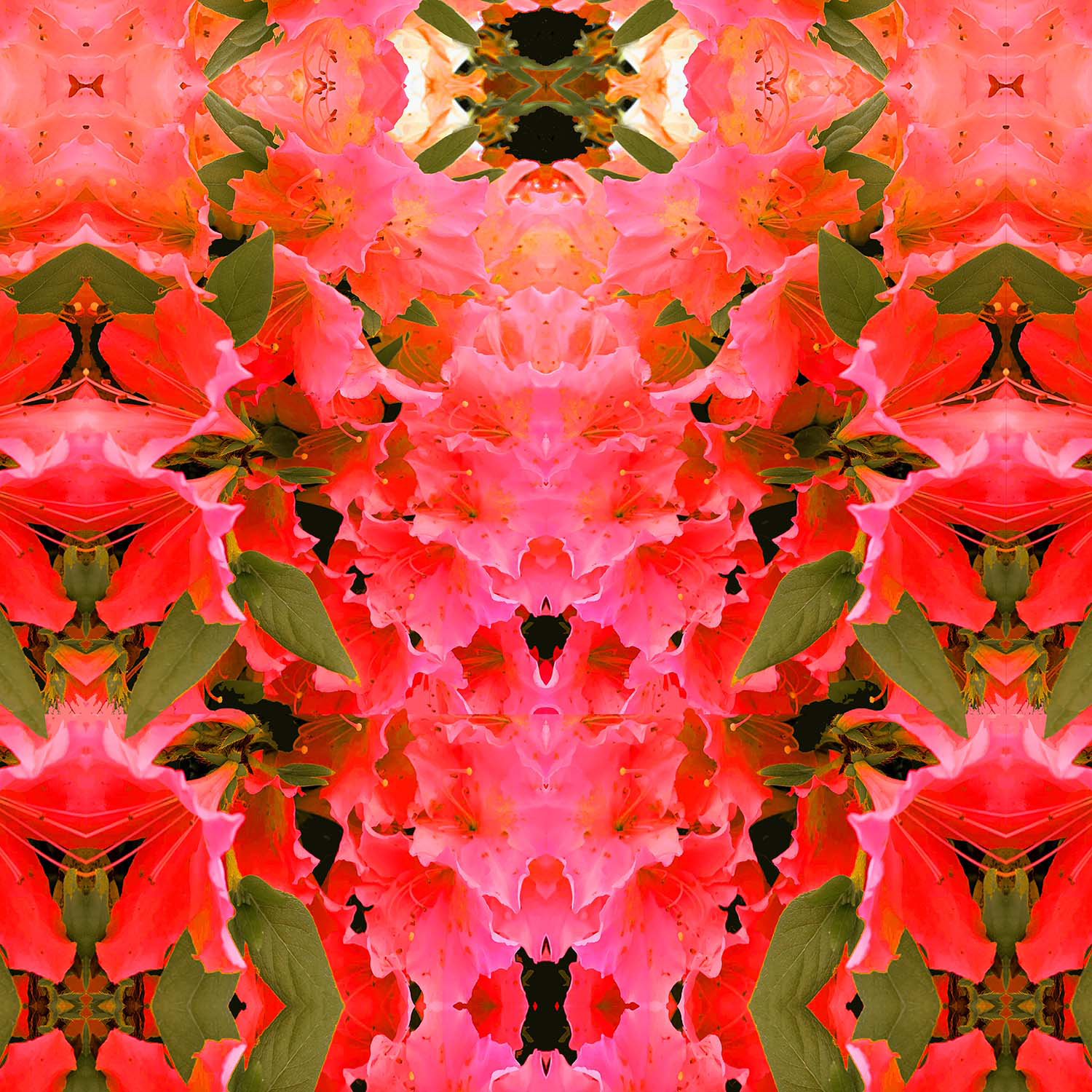 八幡はるみ《GARDEN 初夏》画像