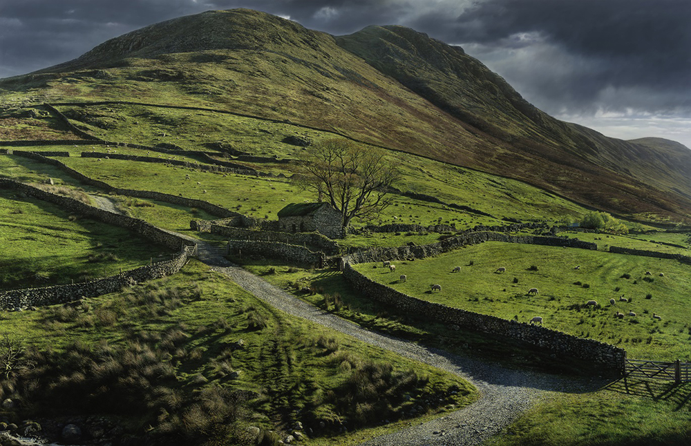 原雅幸《ハートソップの羊牧場》画像