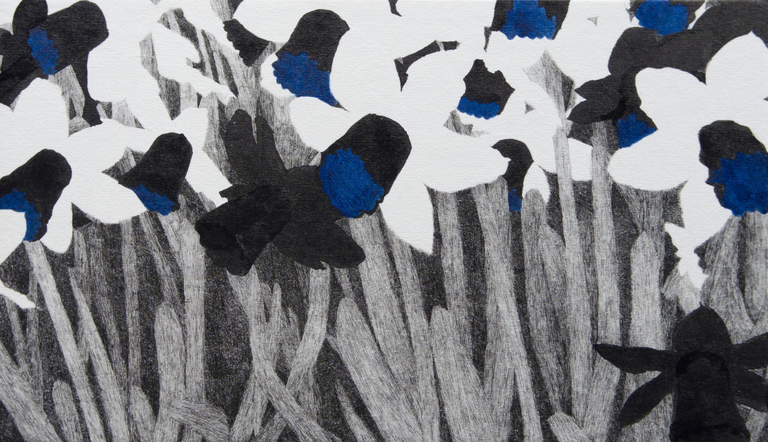 《Black flower 03》画像