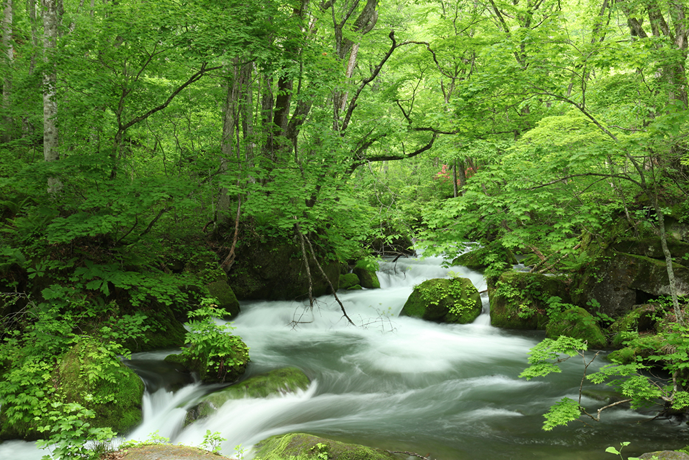十和田市観光写真