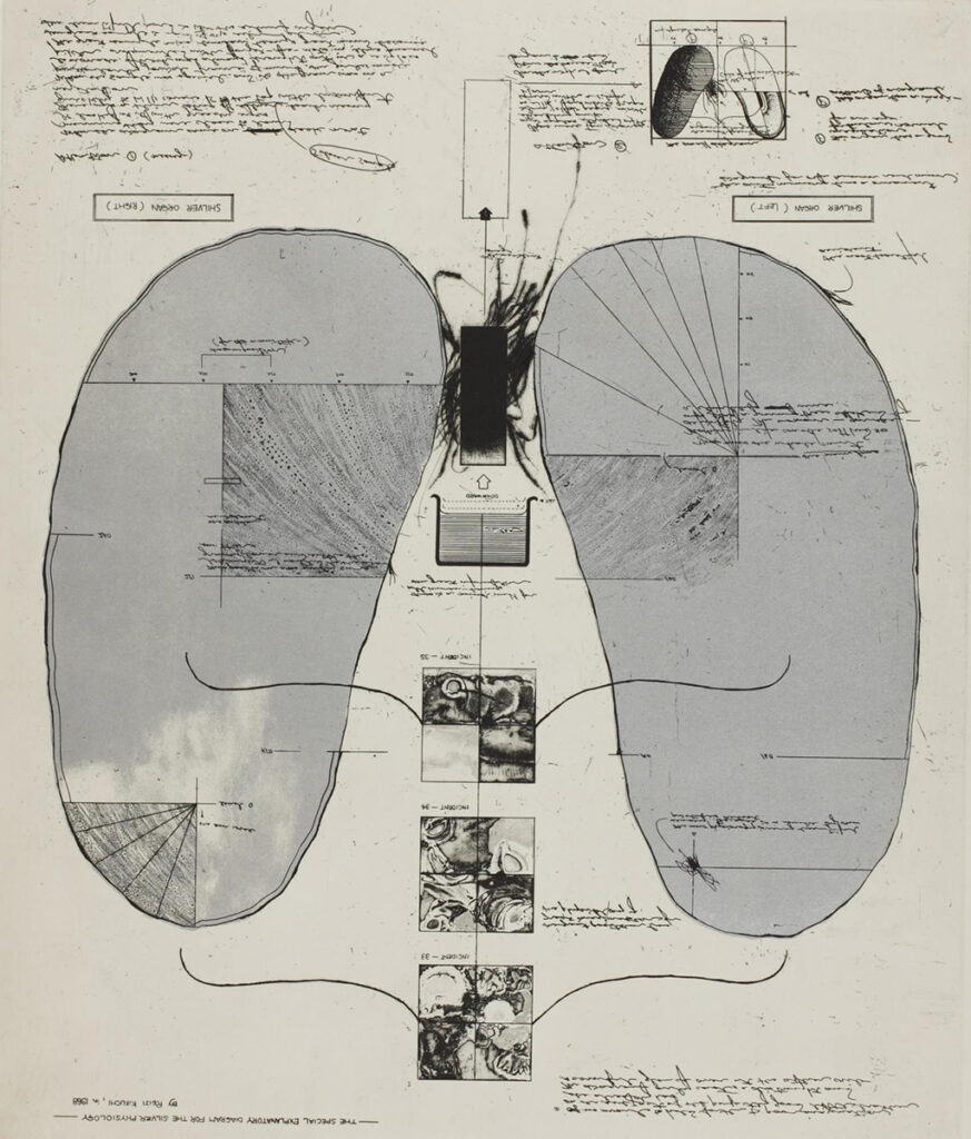 菊池伶司《Observer 2》画像