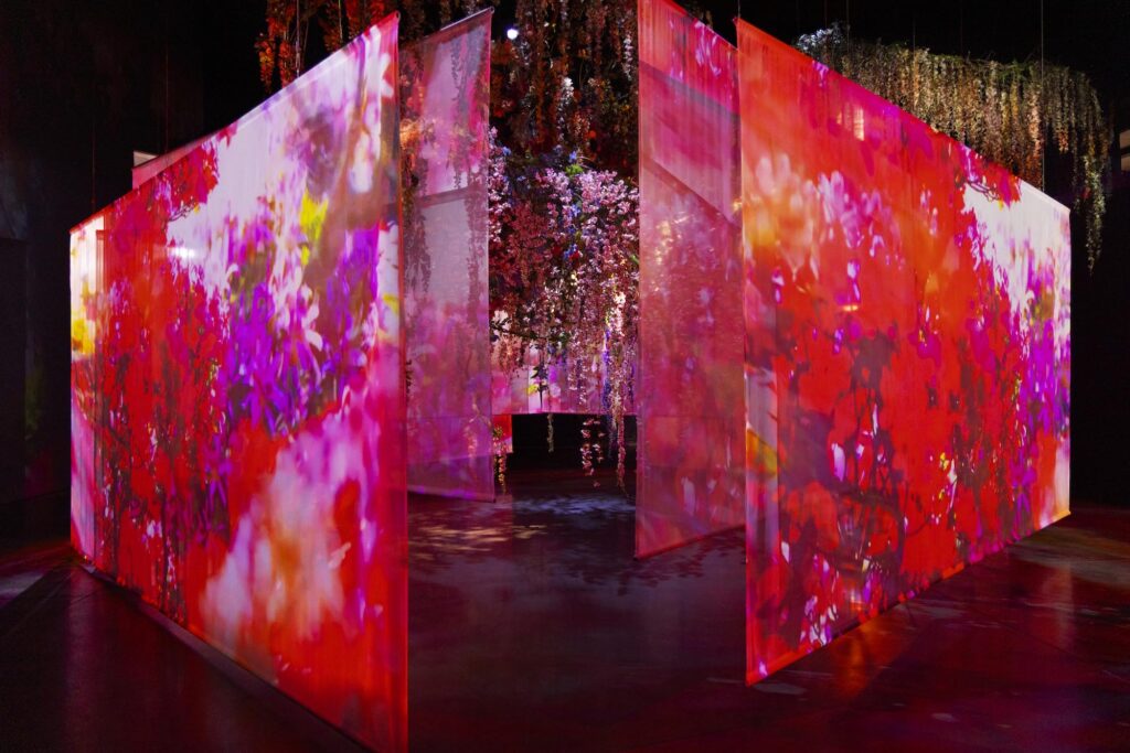 蜷川実花《Sanctuary of Blossoms》画像