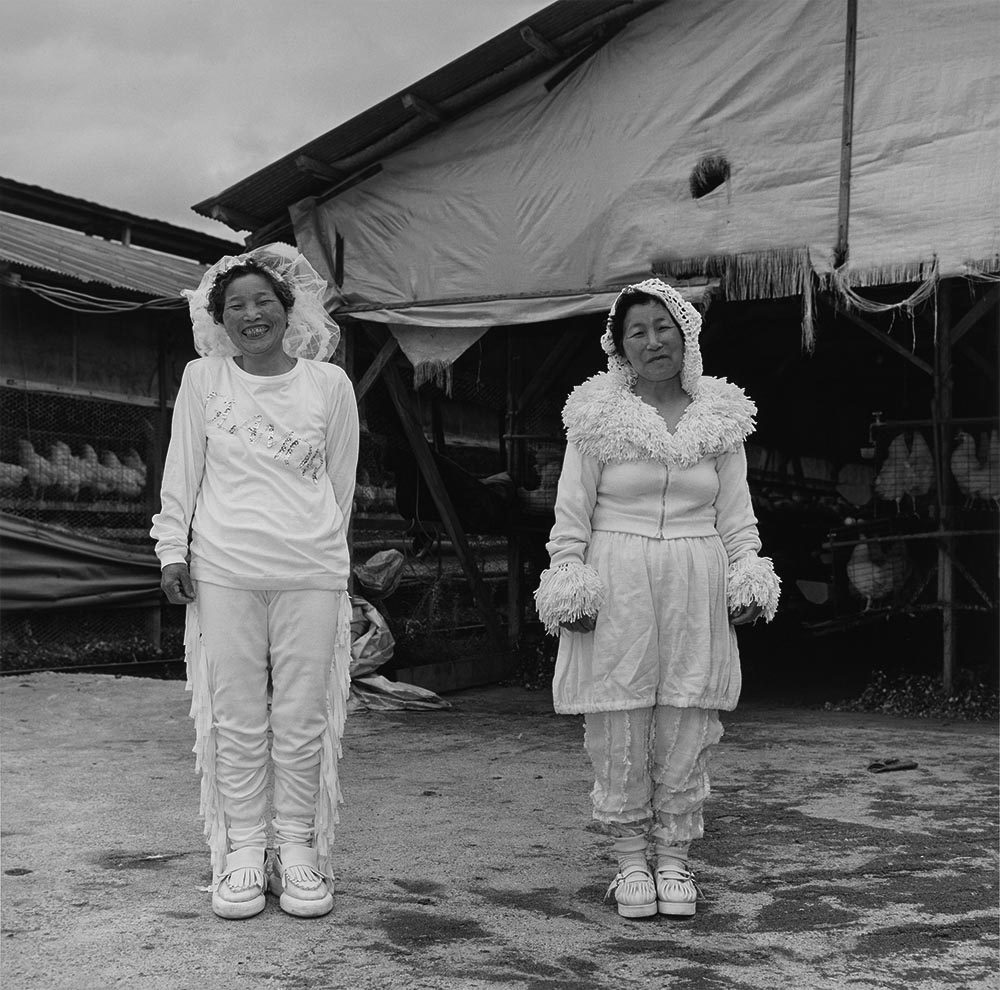 《養鶏業者 香川県 1986画像