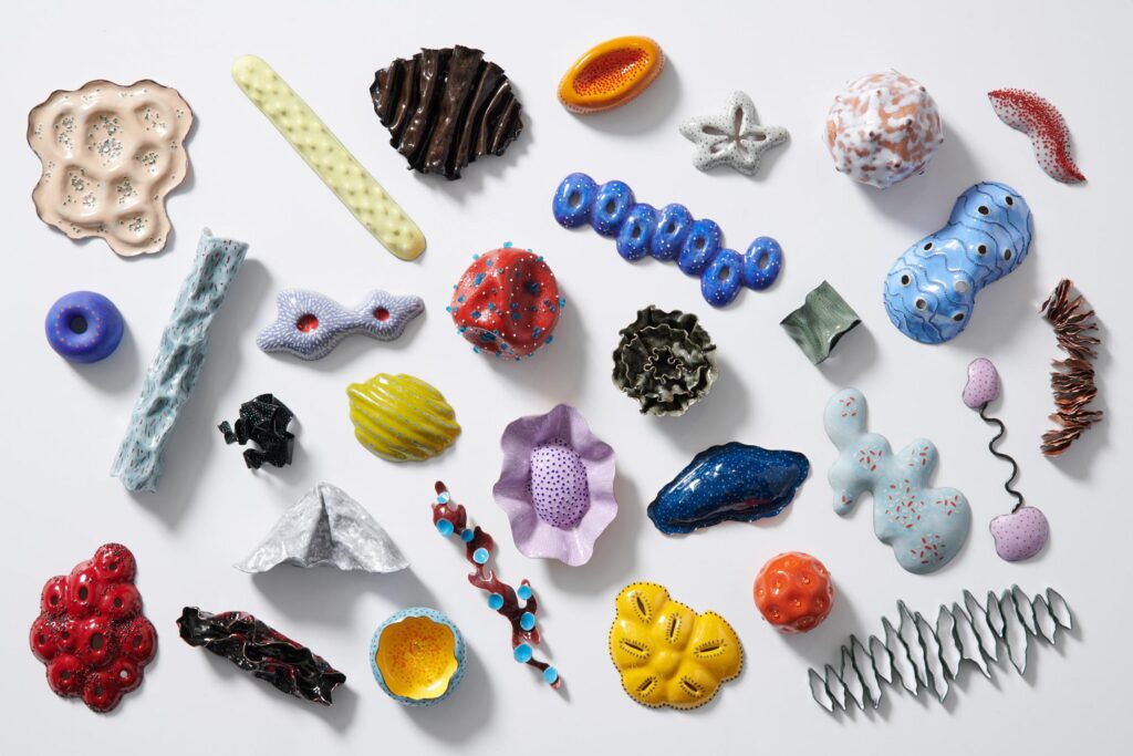 小平秋果　画像