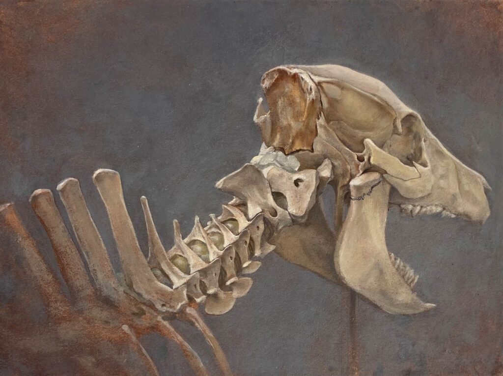 高橋美紗貴　画像