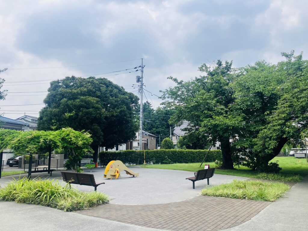 ある日の夏の公園 画像