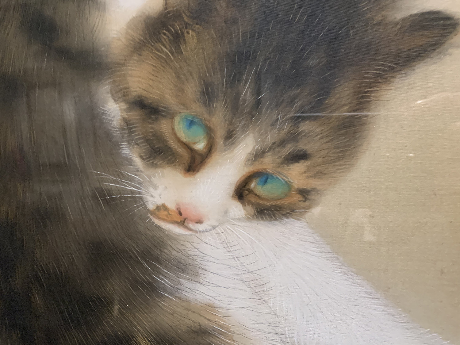 竹内栖鳳《班猫（部分）》