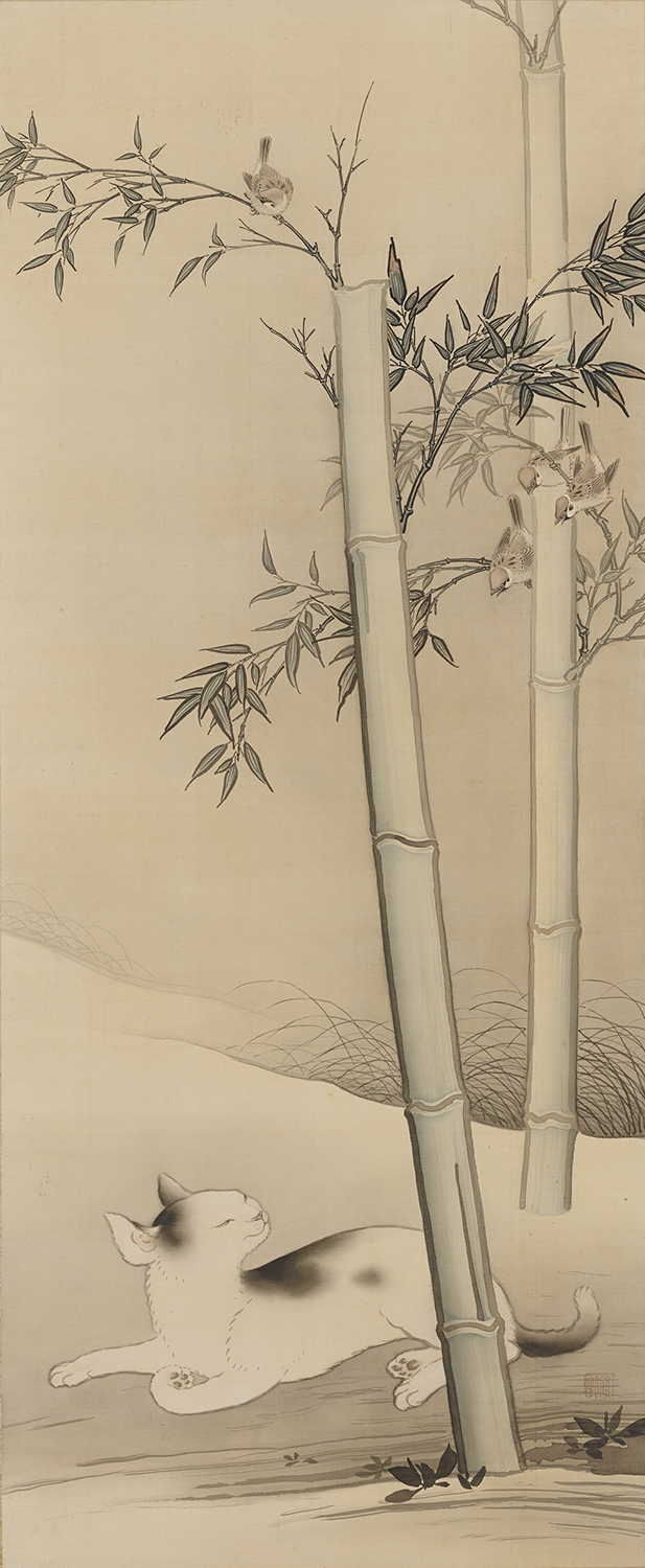 『竹林猫』