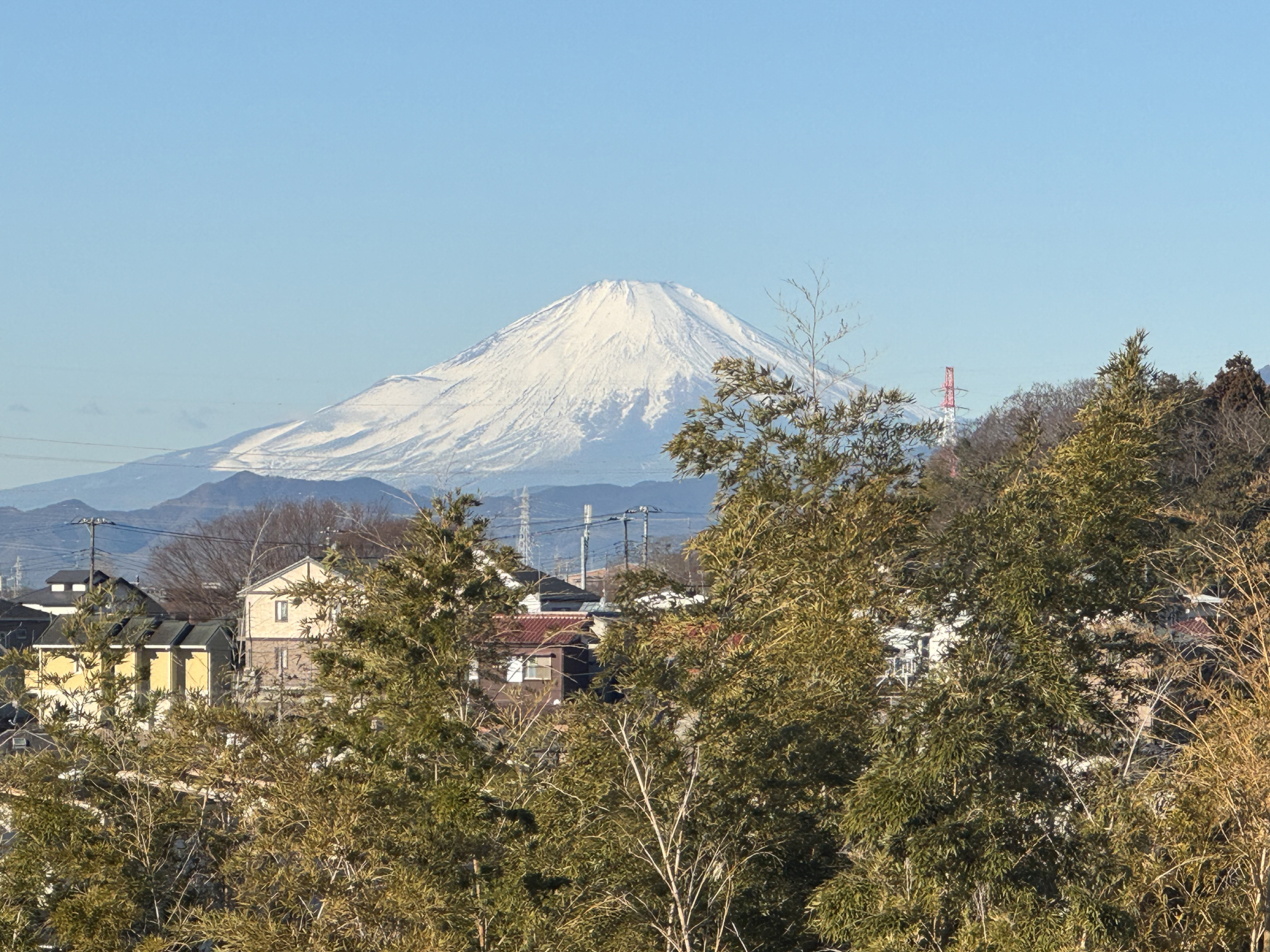 散歩中に見る富士