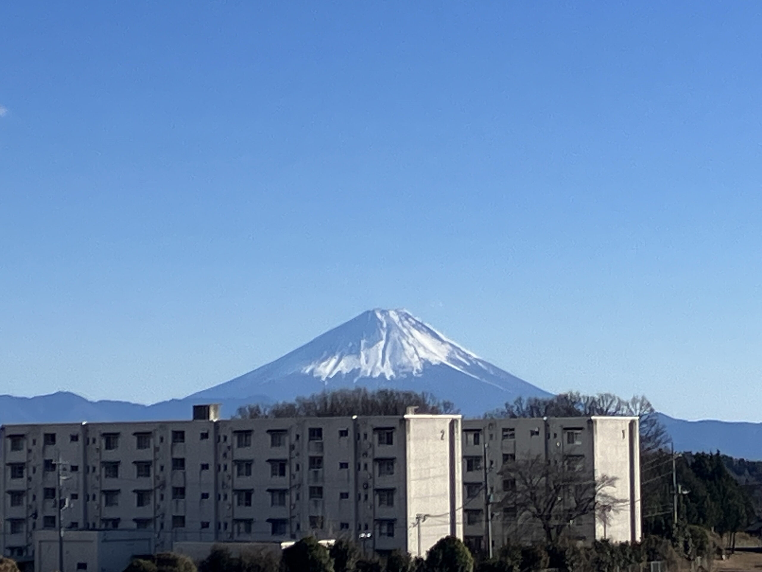 yamanoue_20250215_Photo1