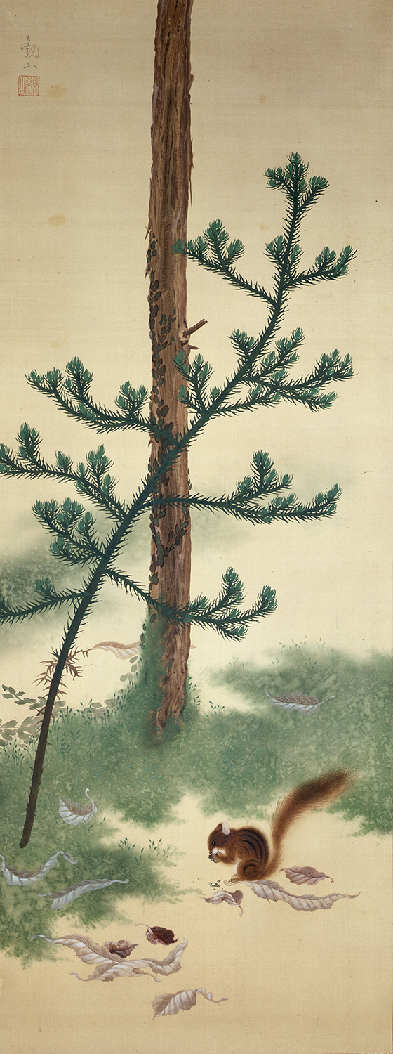 下村観山《杉に栗鼠》画像