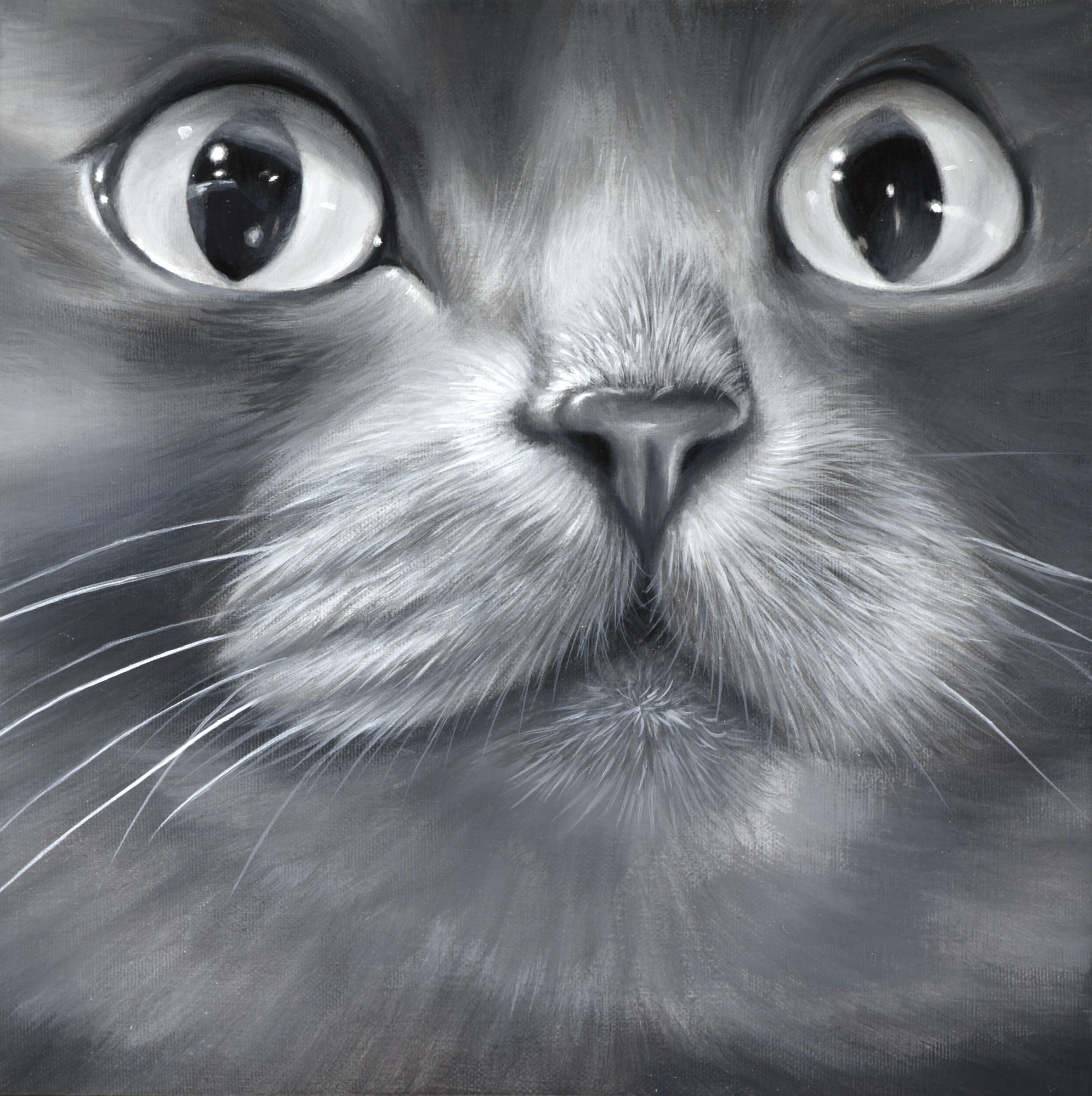 船越友理奈《発見》