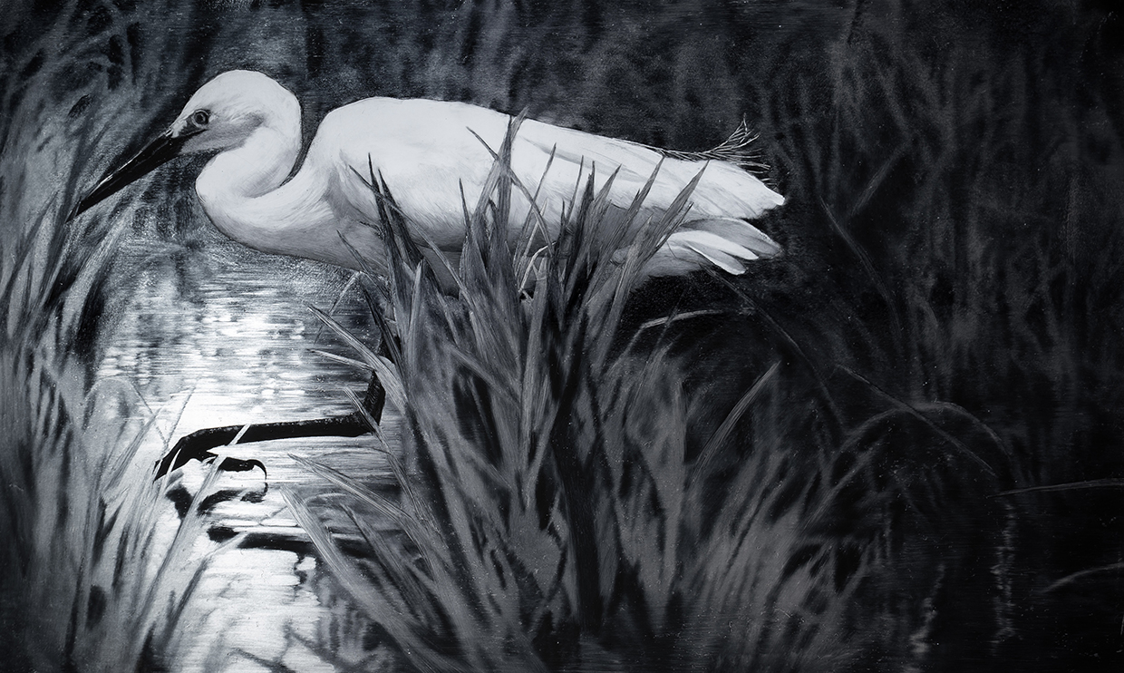 村松辰之介《白鷺01》