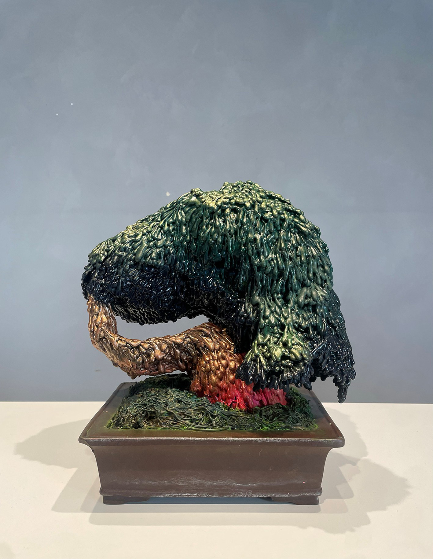 砂糖塩リ_松 bonsai No.56