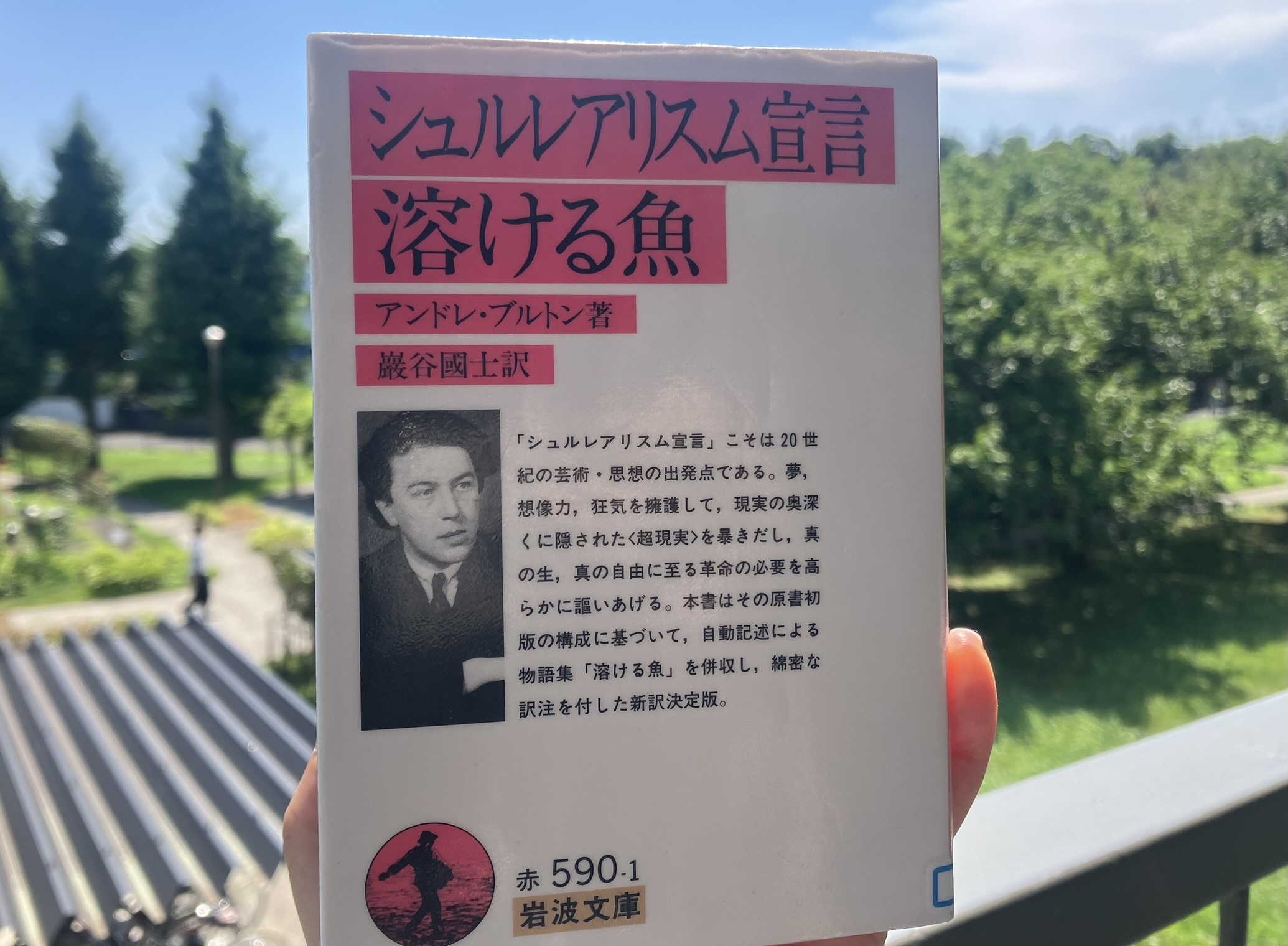 アンドレ・ブルトン著『シュルレアリスム宣言・溶ける魚』(岩波文庫)